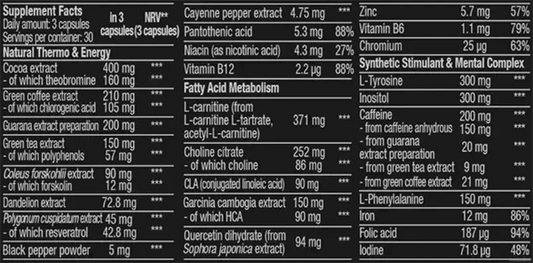 BioTech USA Black Burn 90 Kapseln - Supplement-Support.com