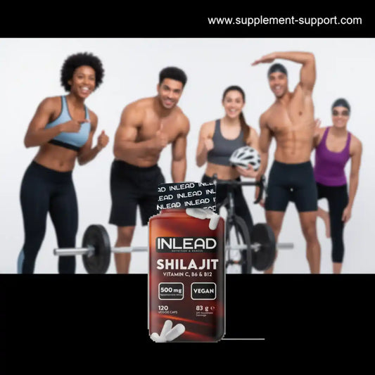 Inlead Shilajit 120 Caps