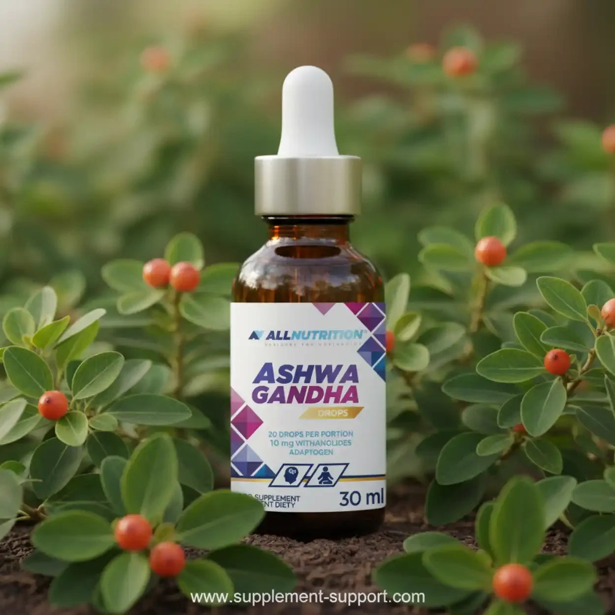 AllNutrition Ashwagandha Tropfen, 30 ml Flasche, Nahrungsergänzung auf Pflanzenbasis im Freien