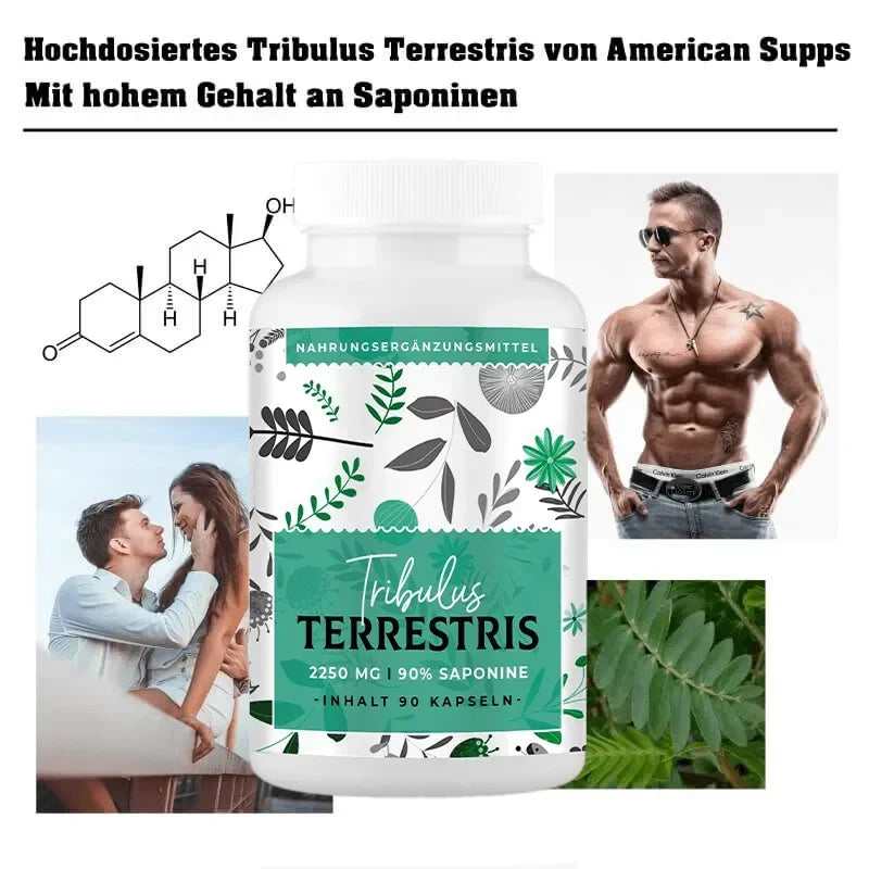 American Supps Tribulus Terrestris - 90 Kapseln - Supplement-Support.com