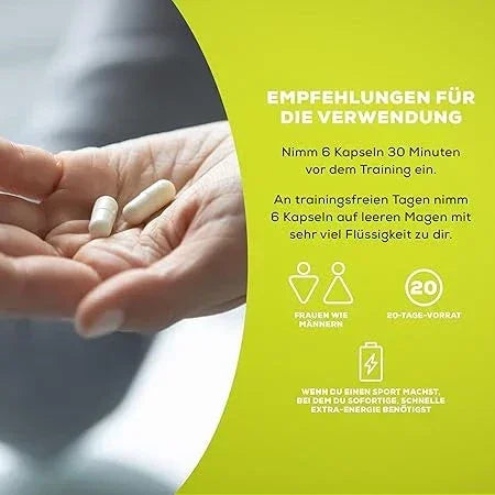 BioTech USA Creator 4 Komponenten Creatin - Supplement-Support.com