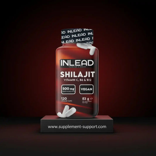 Inlead Shilajit 120 Caps