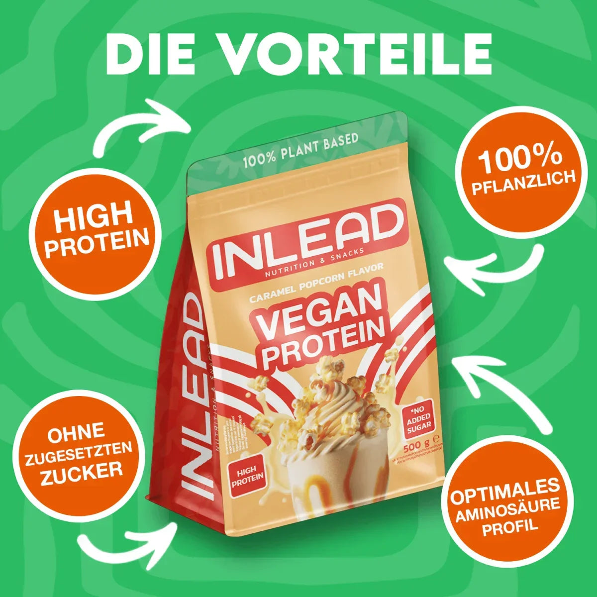 Inlead Vegan Protein 500g - Supplement Support