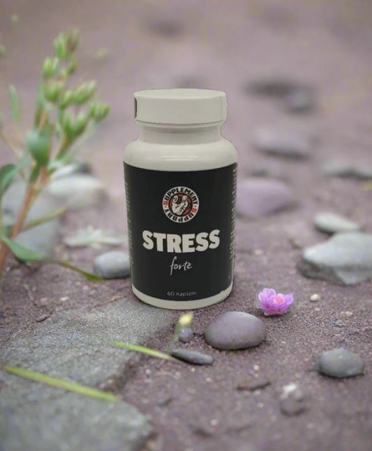 Stress Forte 60 Kapseln von Supplement Support - Supplement Support
